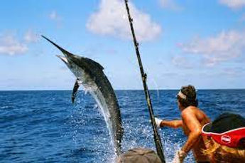 Fishing in Cabo San Lucas