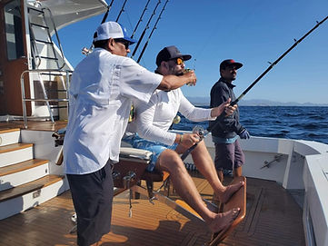 best fish tacos in Cabo San Lucas