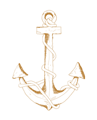 best fish tacos in Cabo San Lucas