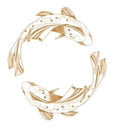 best fish tacos in Cabo San Lucas